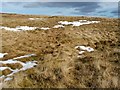 NS4875 : Remains of a boundary by Lairich Rig