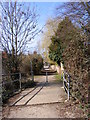 TM3877 : River Lane, Halesworth by Geographer