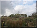 SP3300 : Powerlines crossing the Thames (set of 2 images) by Chris Gunns