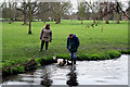 TQ2965 : Beddington Park:  Paddling a dog by Dr Neil Clifton