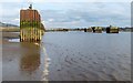 NS4273 : Bollards on the River Clyde by Lairich Rig