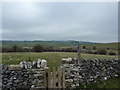 SK1565 : Walls, stile and posts at top of Fern Dale by Peter Barr