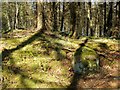 NS3782 : Cameron Farm Chambered Cairn by Lairich Rig