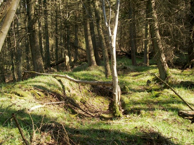 Cameron Farm Chambered Cairn: axial chamber