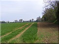 TM0837 : Fields off Pound Lane by Geographer