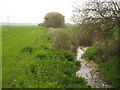 TR1162 : Footpath beside a stream to Bogshole Lane by David Anstiss