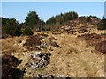 NS3482 : Wall beside the Red Burn by Lairich Rig