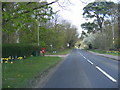 TM4460 : B1121 Aldeburgh Road & Fitche's Lane, Postbox by Geographer