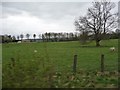 SE0790 : Sheep fields between the railway and the road by Christine Johnstone