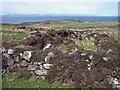 NG2365 : Ruined farmstead in Unish by Richard Dorrell