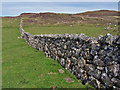 NG2365 : Unish township boundary wall by Richard Dorrell