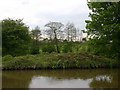 SP2565 : Grand Union Canal, Hatton Flight, Warwick by David P Howard