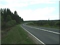  : A171 towards Whitby through Harwood Dale Forest by JThomas