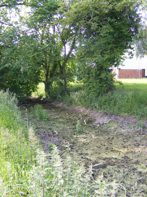 Moat at Moat Farm