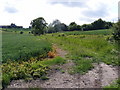 TM3370 : Footpath to Low Grange Farm by Geographer