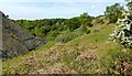 NS4178 : Lime-kiln ruin in lower Auchenreoch Glen by Lairich Rig