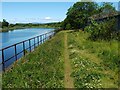 NS3975 : Footpath beside the River Leven by Lairich Rig