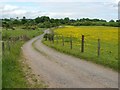 NS8282 : Track from Cuthelton Farm by Lairich Rig