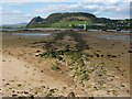 NS4273 : Supposed remains of a Roman causeway by Lairich Rig