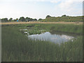 SJ7070 : Marshy pond near Byley by Stephen Craven