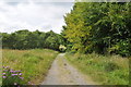 SS9731 : Exmoor : Wimbleball - Footpath by Lewis Clarke