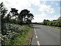  : A47 at Swaffham by Adrian S Pye