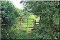 SE4199 : Gate and Stile, Goosecroft Lane by Paul Buckingham