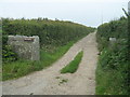 SW4025 : The lane to Pendrea by David Medcalf