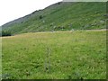 NN8432 : Rough grazing in Glen Almond by M J Richardson