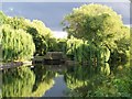 SP2054 : Gorgeous evening light on the River Avon at Stratford by David Martin