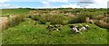 NS4582 : Remains of Aridow: main building, from the west by Lairich Rig