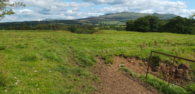 Field near Finnich Toll