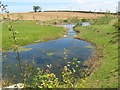 NZ2529 : Balancing Pond in Wear Valley Crematorium grounds by peter robinson