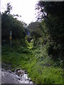 TM4266 : Wash Lane footpath to Packway Farm by Geographer