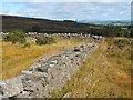 NS3778 : Junction of dry-stone walls by Lairich Rig