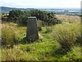 NS3778 : Trig point near Kipperoch Farm by Lairich Rig