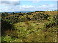 NS3778 : Moorland near Kipperoch Farm by Lairich Rig