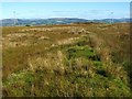 NS2973 : Remains of a field dyke by Lairich Rig