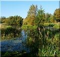 NS6168 : Stobhill Pond by Lairich Rig