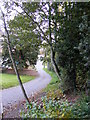 TM3865 : Church Lane, Kelsale by Geographer