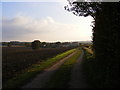 TM3565 : Footpath & entrance to Rookery Farm by Geographer