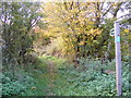 TM3764 : Footpath to Lonely Farm & Rendham Road by Geographer