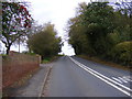 TM2953 : B1438 Yarmouth Road by Geographer