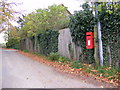 TM2952 : Loudham Lane & Spring Lane Postbox by Geographer