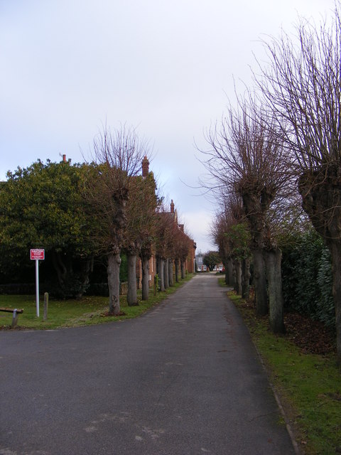 Entrance avenue at Deben Court