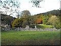 SO0571 : Abbey Cwmhir by Penny Mayes