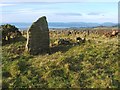 NS3678 : Walton Farm chambered cairn by Lairich Rig