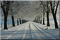 SO8642 : Snow-covered driveway to Earl's Croome Court by Philip Halling