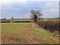 SP2362 : Hedgerow and field off Canada Lane by David P Howard