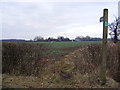 TM3064 : Footpath to Redhouse Farm by Geographer